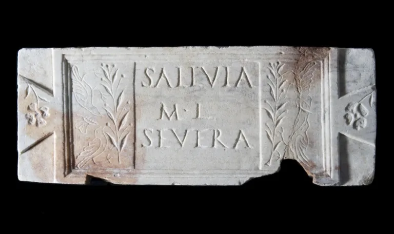 Iscrizione funeraria di Salluia Severa