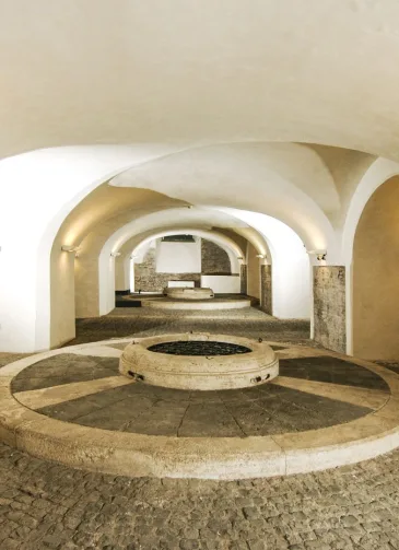 Terme di Diocleziano - Olearie Papali