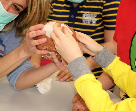 Il Museo va in Ospedale… a Scuola