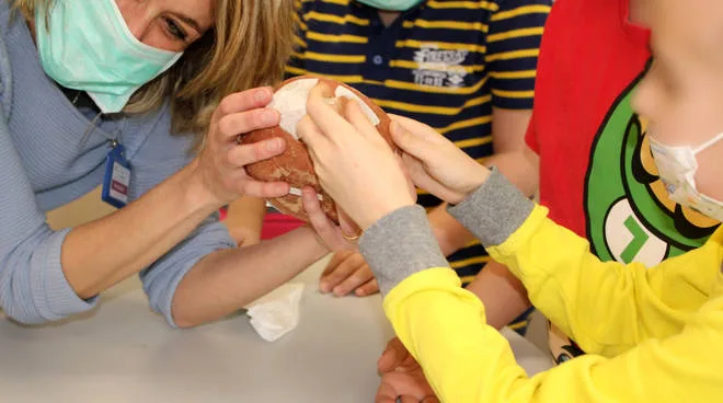 Il Museo va in Ospedale… a Scuola