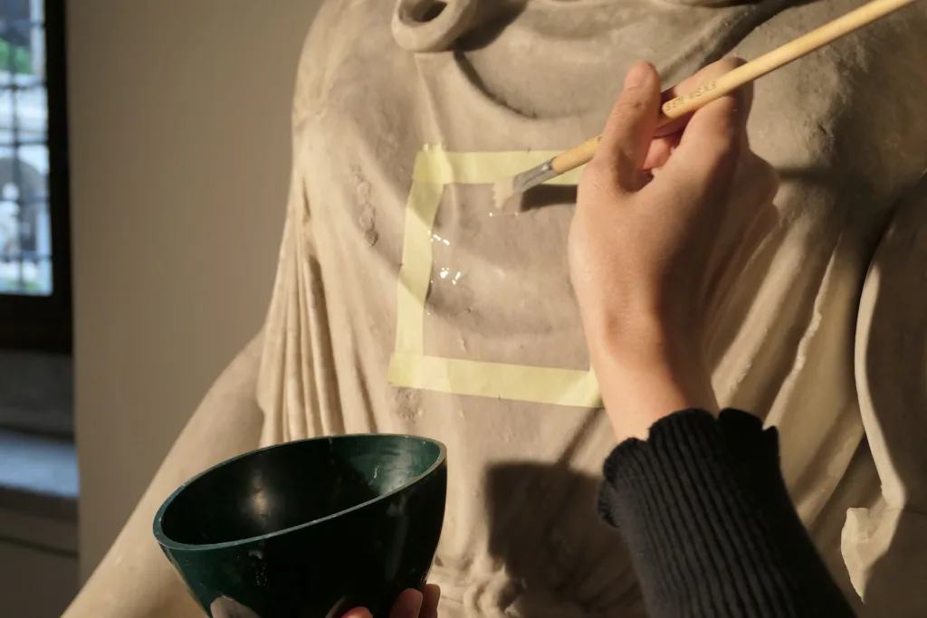 Attività di applicazione NASIER