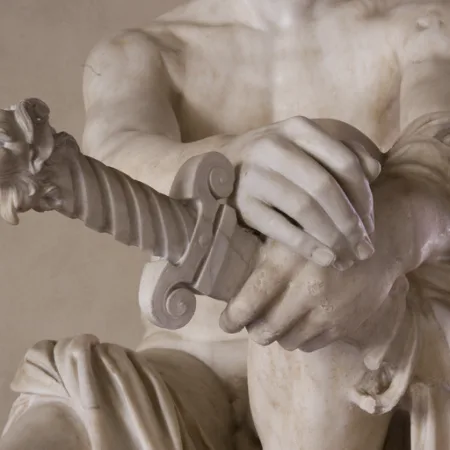 Collezioni e trasformazioni