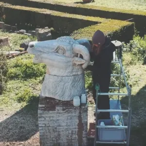 collegamento alla notizia