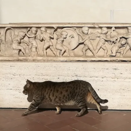 La Gatta Prisca va al Museo